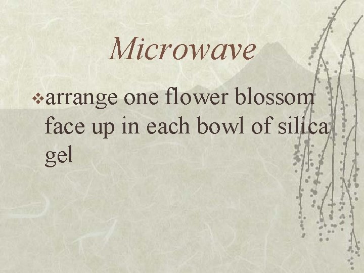 Microwave varrange one flower blossom face up in each bowl of silica gel 