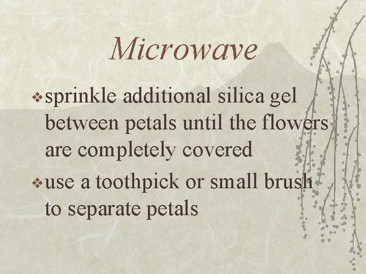 Microwave v sprinkle additional silica gel between petals until the flowers are completely covered
