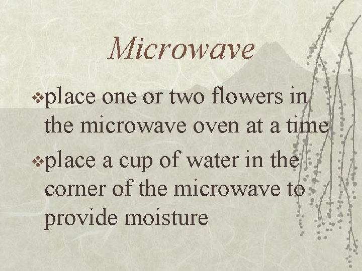 Microwave vplace one or two flowers in the microwave oven at a time vplace