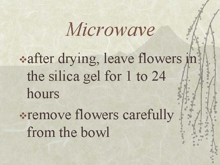 Microwave vafter drying, leave flowers in the silica gel for 1 to 24 hours