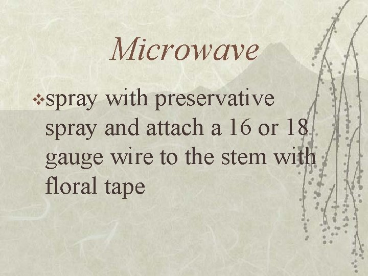 Microwave vspray with preservative spray and attach a 16 or 18 gauge wire to