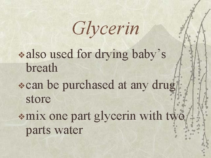 Glycerin v also used for drying baby’s breath v can be purchased at any