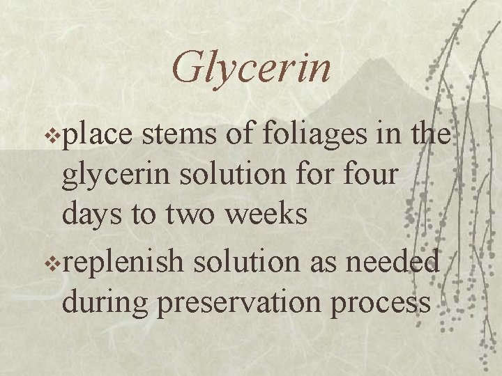 Glycerin vplace stems of foliages in the glycerin solution for four days to two