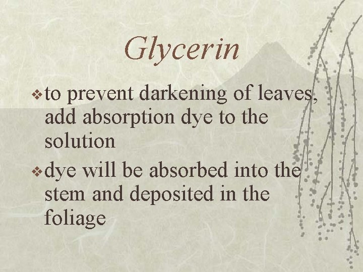 Glycerin v to prevent darkening of leaves, add absorption dye to the solution v