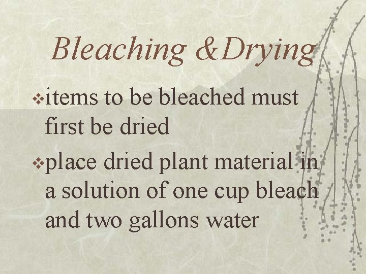 Bleaching &Drying vitems to be bleached must first be dried vplace dried plant material