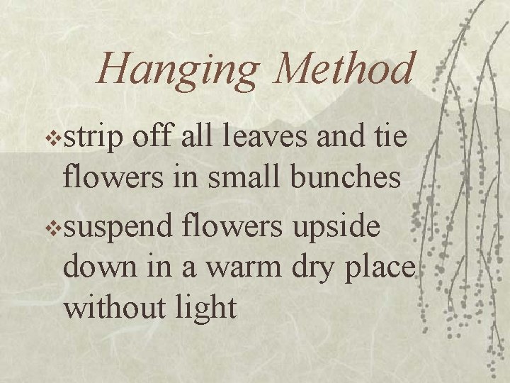 Hanging Method vstrip off all leaves and tie flowers in small bunches vsuspend flowers