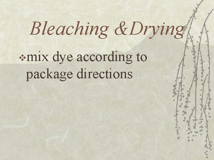 Bleaching &Drying vmix dye according to package directions 