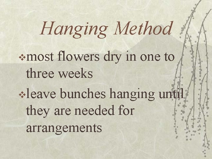 Hanging Method vmost flowers dry in one to three weeks vleave bunches hanging until