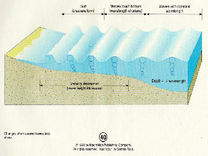 Wave Vs Current Ocean Waves and Tides Right Side Vocabulary Wave