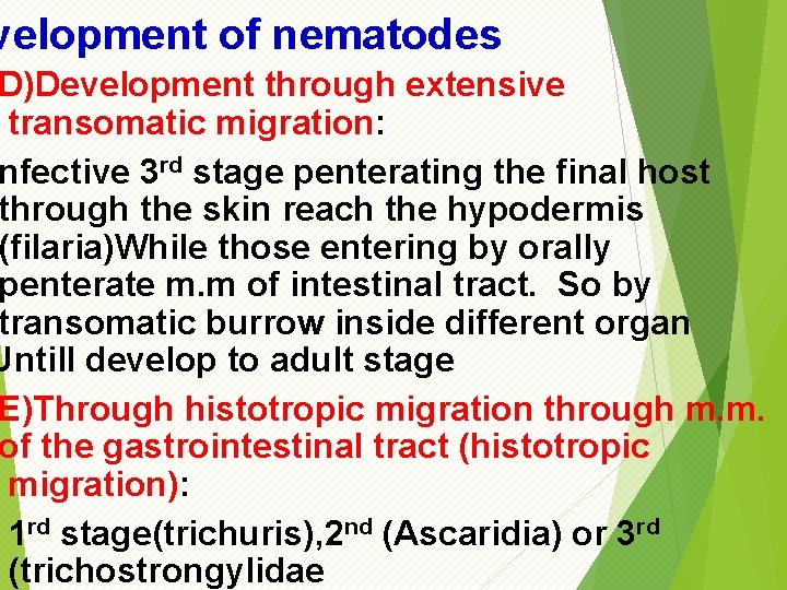 velopment of nematodes D)Development through extensive transomatic migration: nfective 3 rd stage penterating the