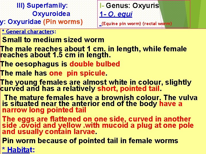 III) Superfamily: Oxyuroidea y: Oxyuridae (Pin worms) I- Genus: Oxyuris 1 - O. equi