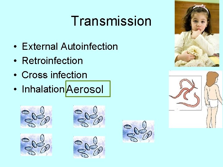 Transmission • • External Autoinfection Retroinfection Cross infection Inhalation Aerosol 