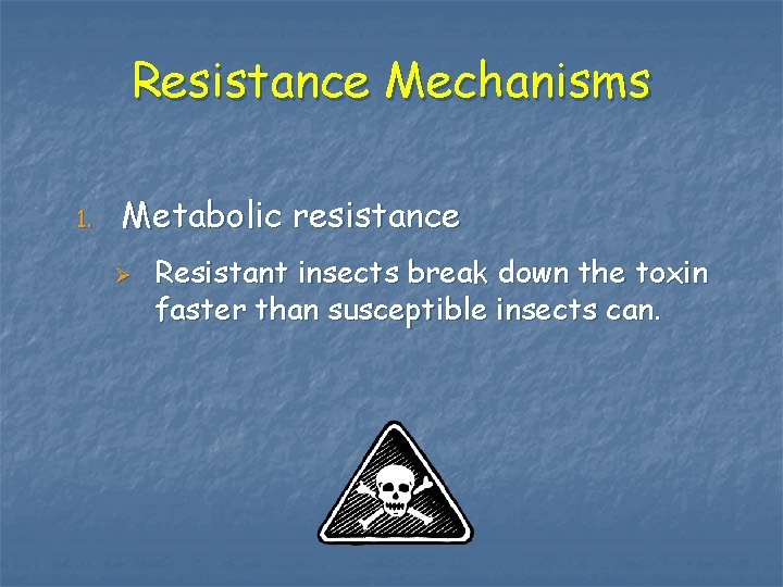 Resistance Mechanisms 1. Metabolic resistance Ø Resistant insects break down the toxin faster than