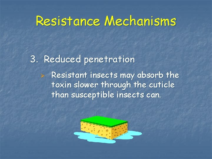 Resistance Mechanisms 3. Reduced penetration Ø Resistant insects may absorb the toxin slower through