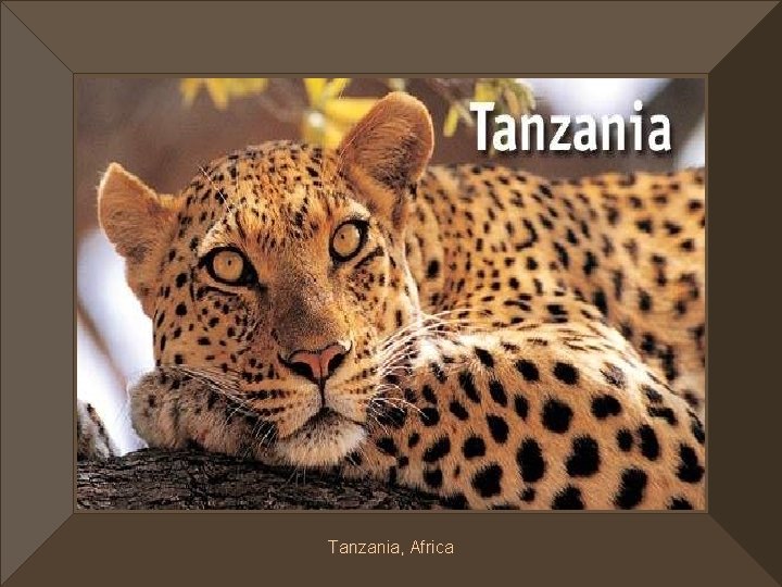 Tanzania, Africa 