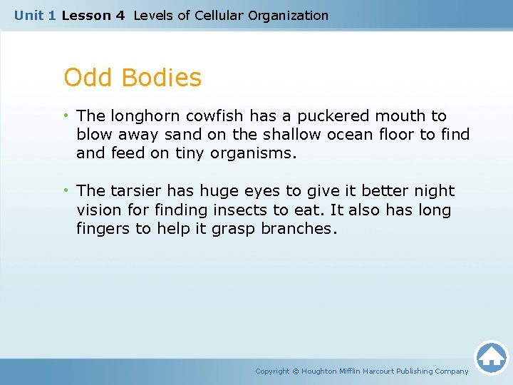 Unit 1 Lesson 4 Levels of Cellular Organization Odd Bodies • The longhorn cowfish
