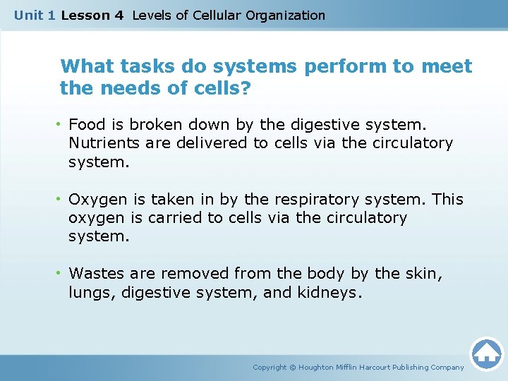Unit 1 Lesson 4 Levels of Cellular Organization What tasks do systems perform to