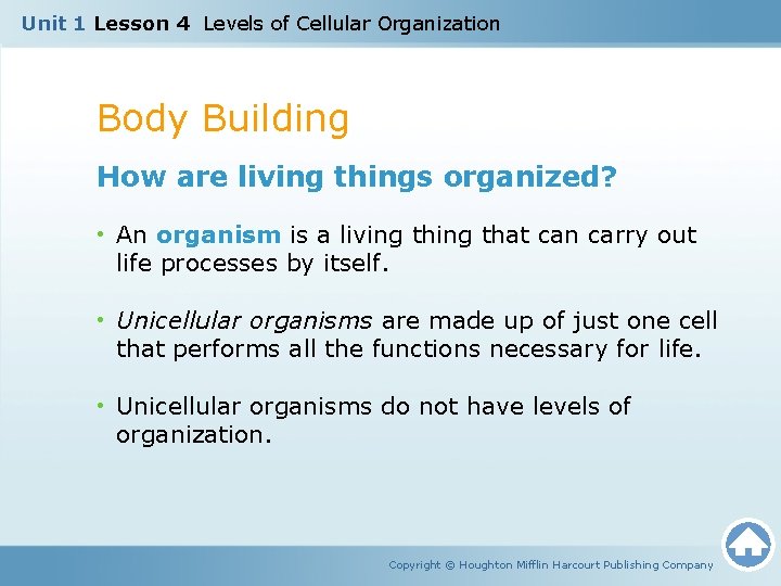 Unit 1 Lesson 4 Levels of Cellular Organization Body Building How are living things