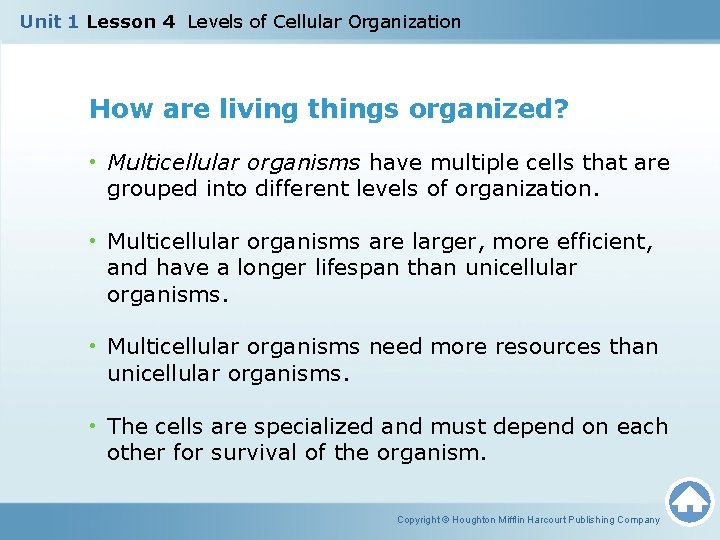 Unit 1 Lesson 4 Levels of Cellular Organization How are living things organized? •