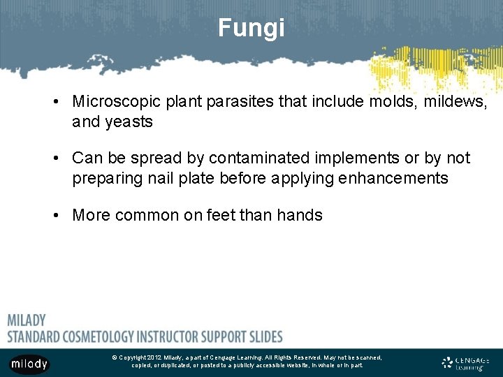 Fungi • Microscopic plant parasites that include molds, mildews, and yeasts • Can be