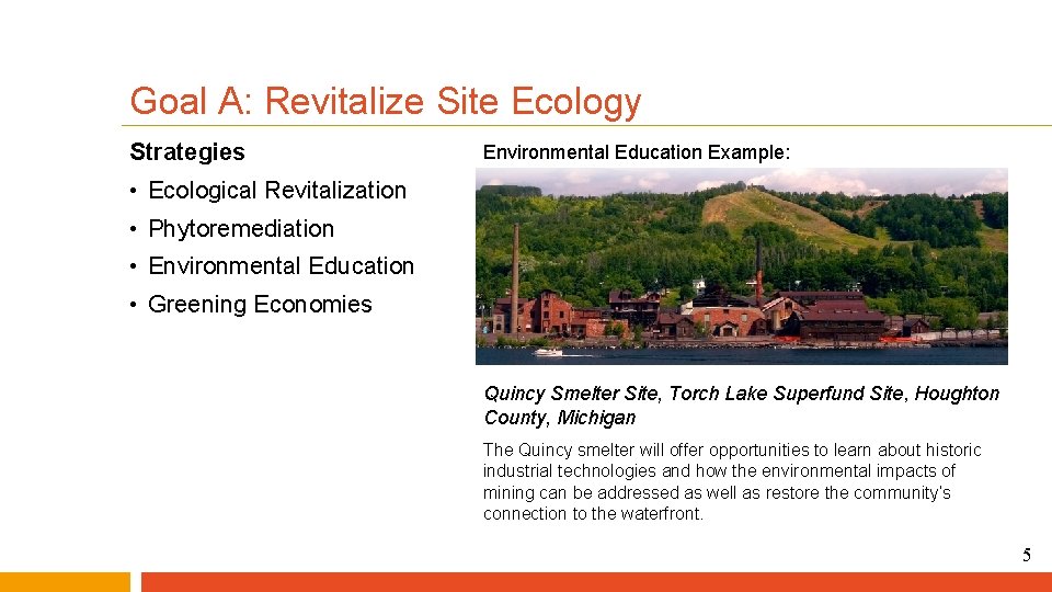 Goal A: Revitalize Site Ecology Strategies Environmental Education Example: • Ecological Revitalization • Phytoremediation