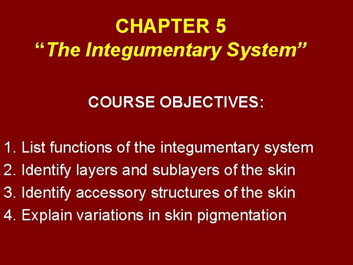 CHAPTER 5 “The Integumentary System” COURSE OBJECTIVES: 1. List functions of the integumentary system