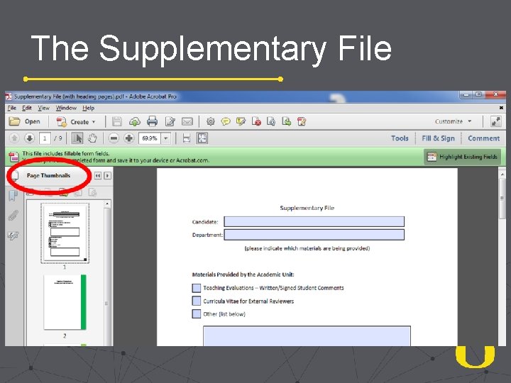 The Supplementary File 