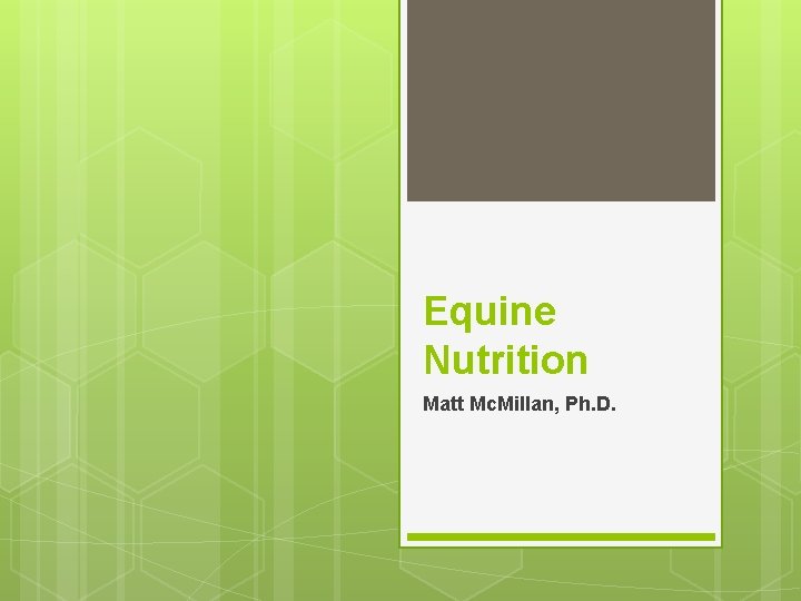 Equine Nutrition Matt Mc. Millan, Ph. D. 