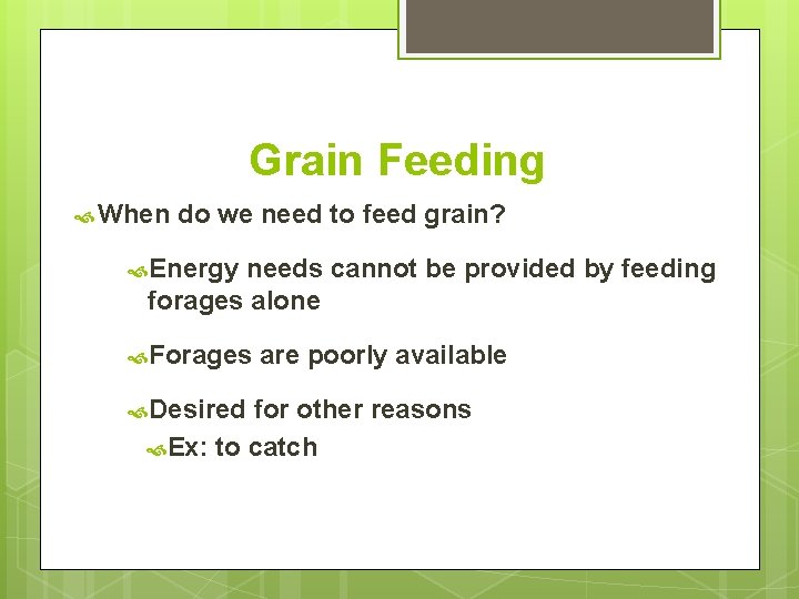 Grain Feeding When do we need to feed grain? Energy needs cannot be provided