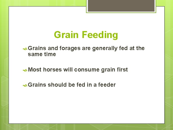 Grain Feeding Grains and forages are generally fed at the same time Most horses