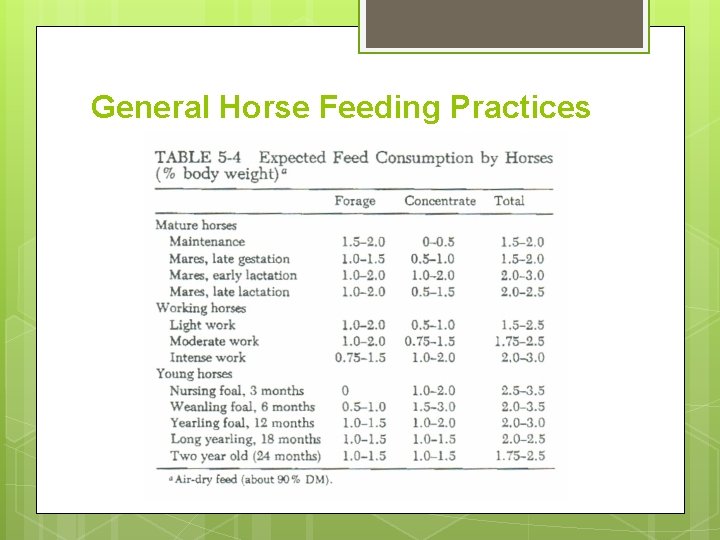 General Horse Feeding Practices 