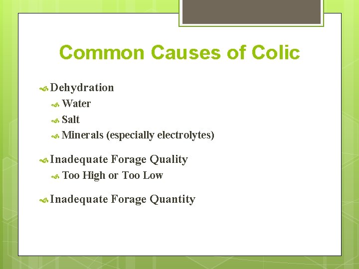 Common Causes of Colic Dehydration Water Salt Minerals (especially electrolytes) Inadequate Too Forage Quality