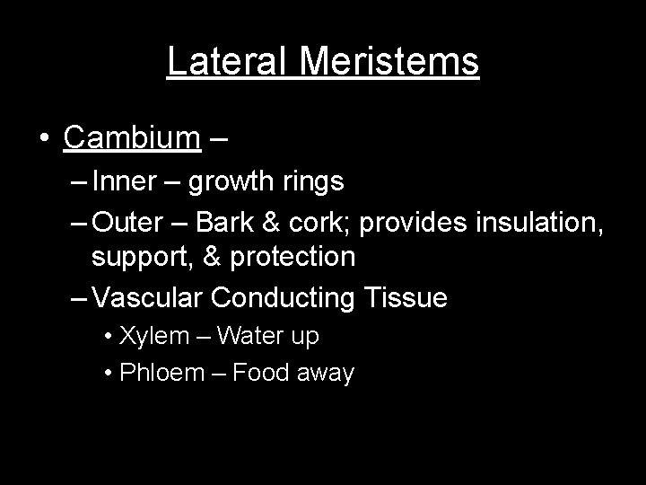 Lateral Meristems • Cambium – – Inner – growth rings – Outer – Bark