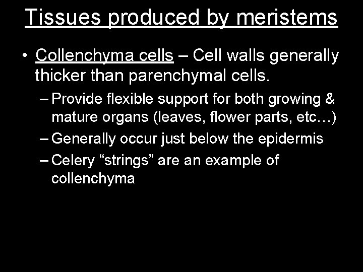 Tissues produced by meristems • Collenchyma cells – Cell walls generally thicker than parenchymal