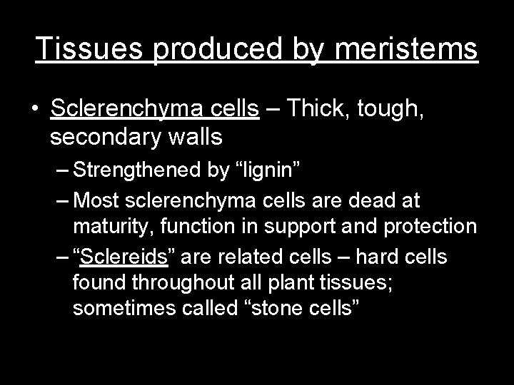 Tissues produced by meristems • Sclerenchyma cells – Thick, tough, secondary walls – Strengthened