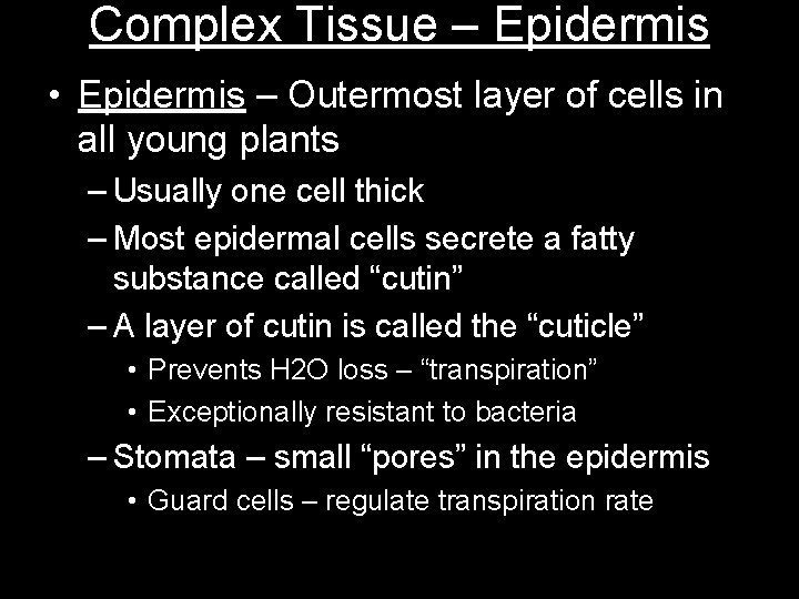 Complex Tissue – Epidermis • Epidermis – Outermost layer of cells in all young