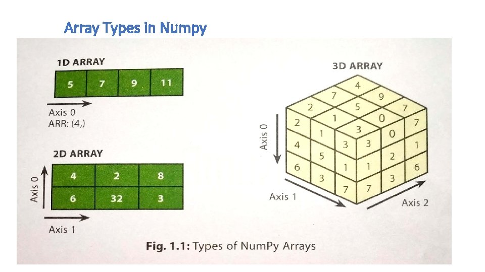 Array Types in Numpy 