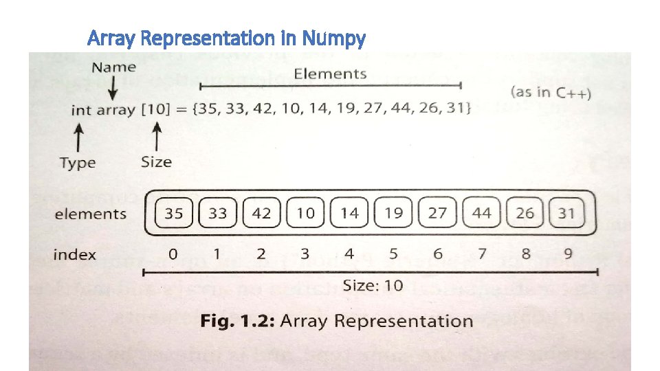 Array Representation in Numpy 