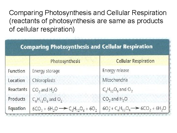 Comparing Photosynthesis and Cellular Respiration (reactants of photosynthesis are same as products of cellular