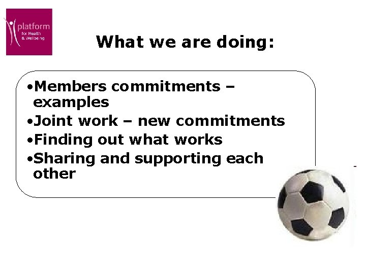 What we are doing: • Members commitments – examples • Joint work – new