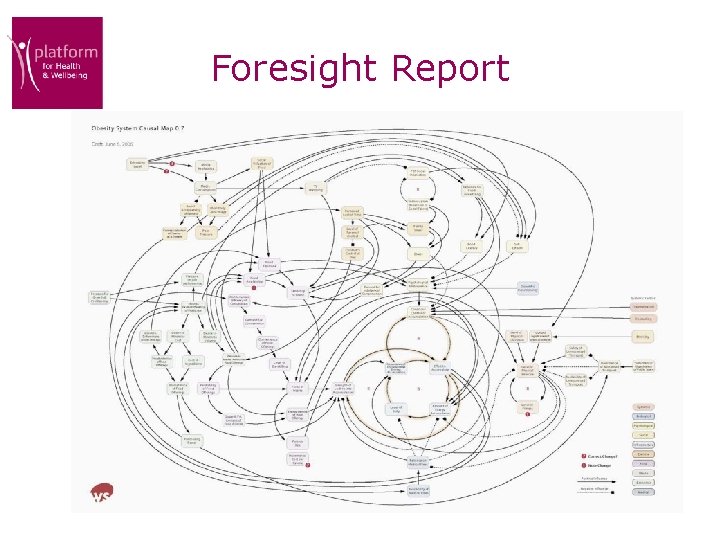 Foresight Report 