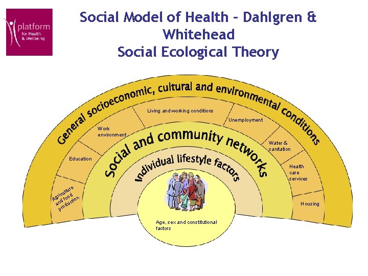 Social Model of Health – Dahlgren & Whitehead Social Ecological Theory Living and working