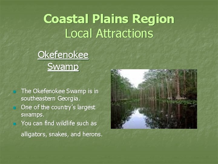 Coastal Plains Region Local Attractions Okefenokee Swamp n n n The Okefenokee Swamp is