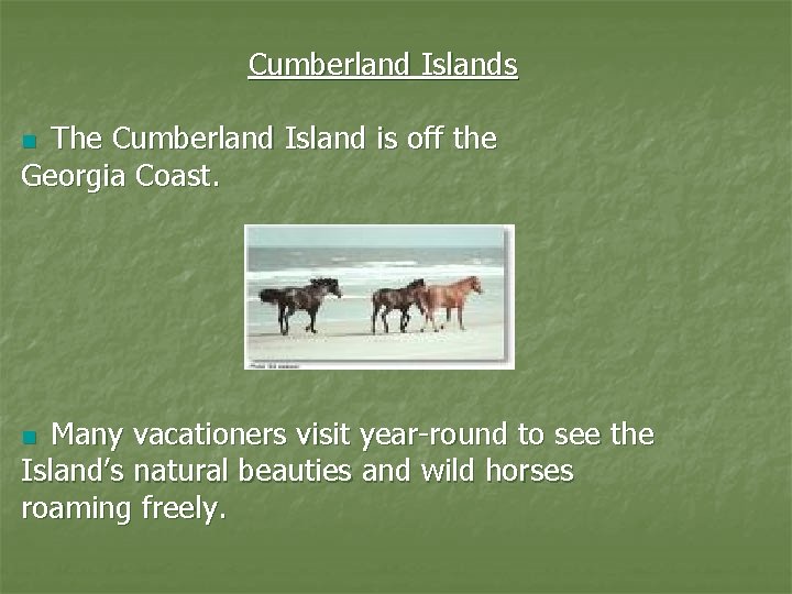 Cumberland Islands The Cumberland Island is off the Georgia Coast. n Many vacationers visit