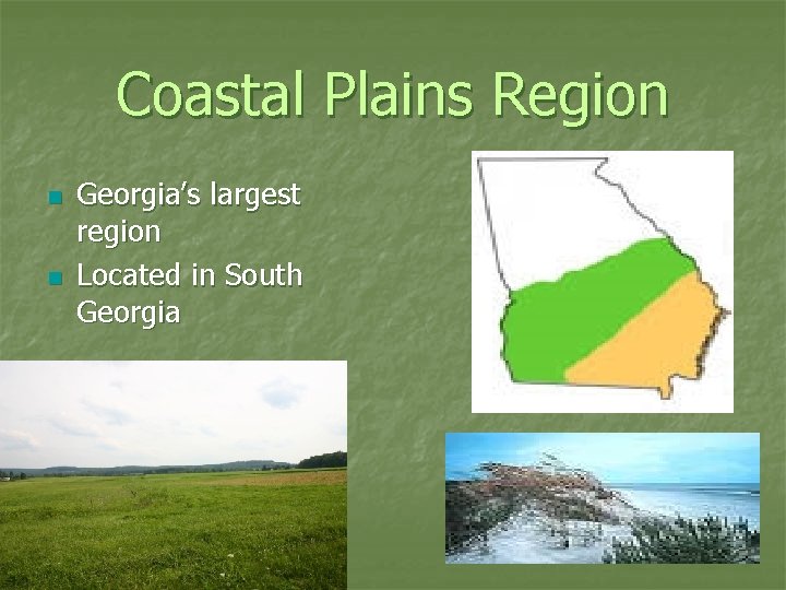 Coastal Plains Region n n Georgia’s largest region Located in South Georgia 