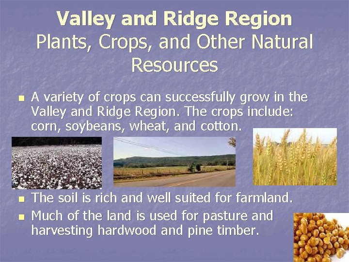 Valley and Ridge Region Plants, Crops, and Other Natural Resources n n n A