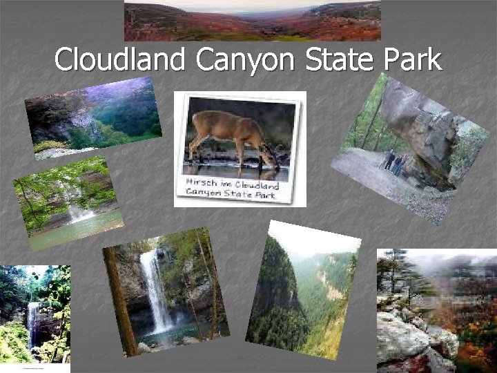 Cloudland Canyon State Park 