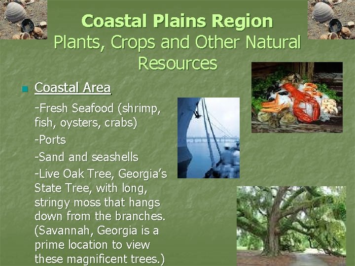 Coastal Plains Region Plants, Crops and Other Natural Resources n Coastal Area -Fresh Seafood