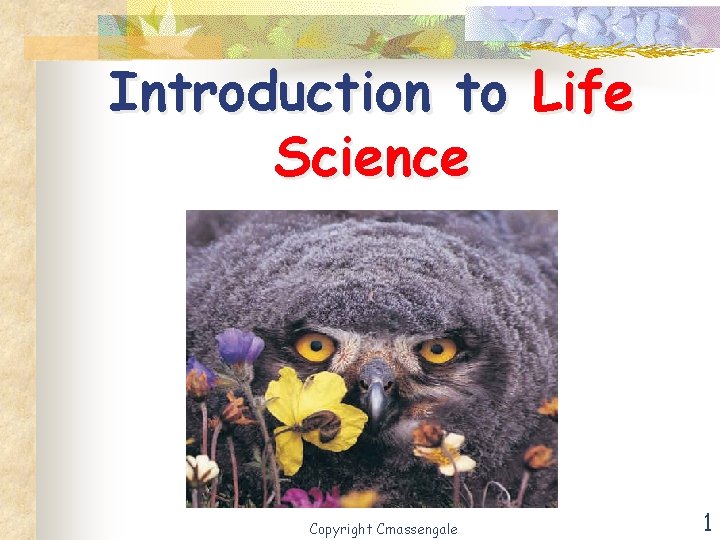 Introduction to Life Science Copyright Cmassengale 1 