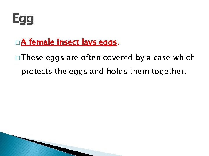Egg �A female insect lays eggs. � These eggs are often covered by a